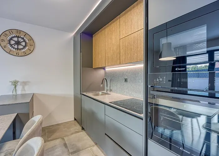 Ana With Private Pool Vila Tinjan